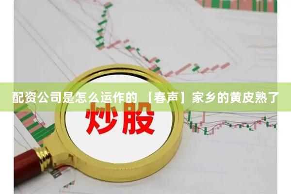 配资公司是怎么运作的 【春声】家乡的黄皮熟了