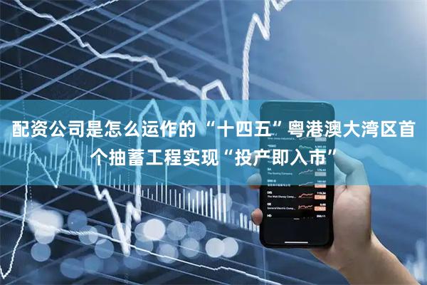 配资公司是怎么运作的 “十四五”粤港澳大湾区首个抽蓄工程实现“投产即入市”