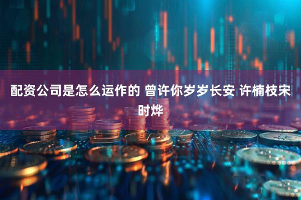 配资公司是怎么运作的 曾许你岁岁长安 许楠枝宋时烨